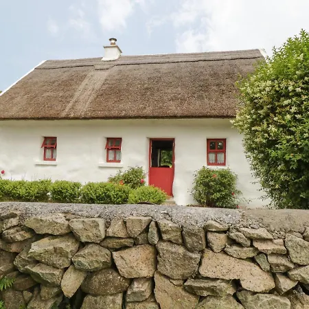 Thatch